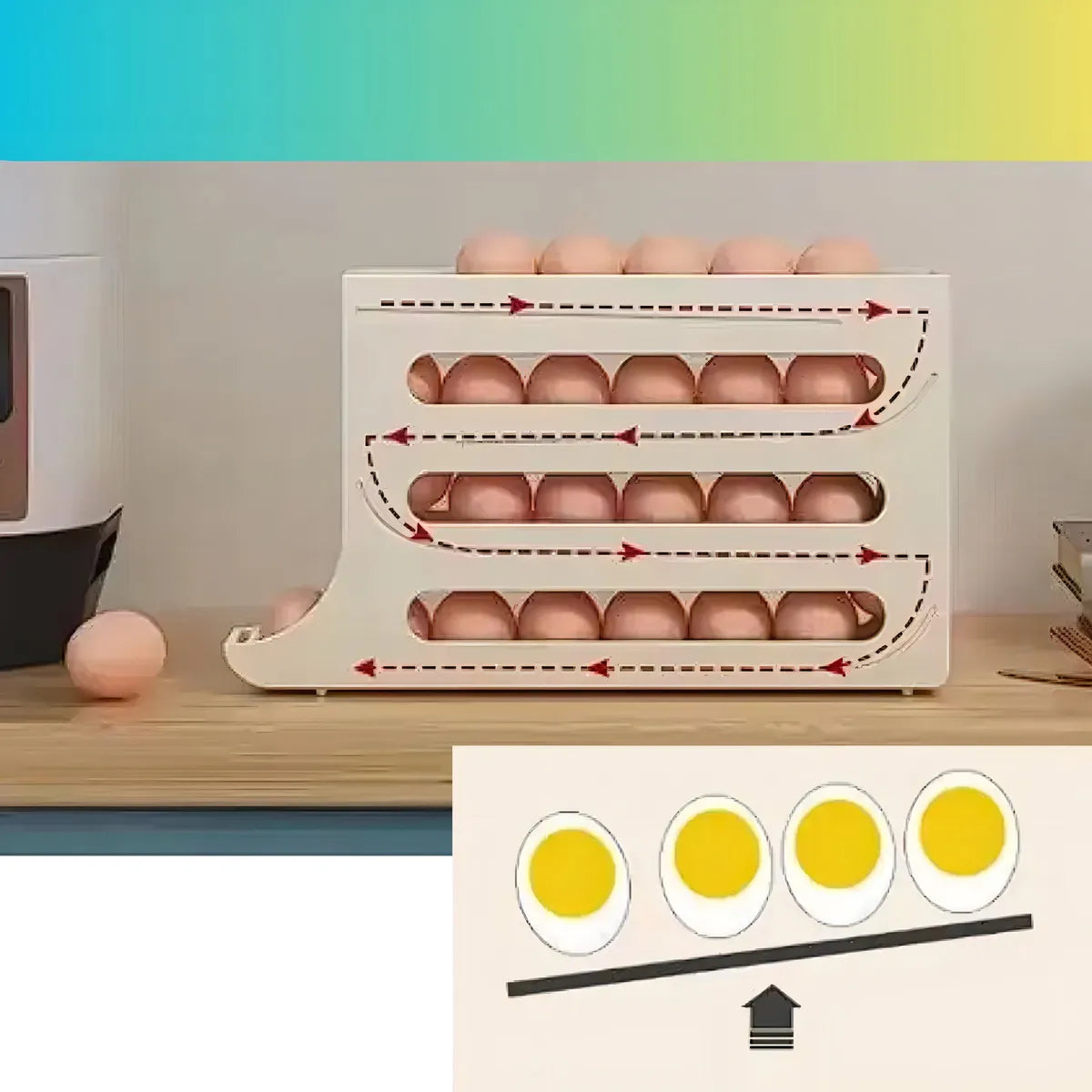 ORGANIZADOR DE HUEVOS